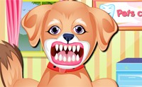 Puppy Dental Care