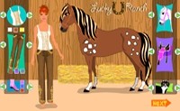 Horse Dress-up 3