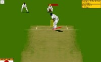 Virtual Cricket 